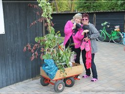 016 Bosseln 06.05.2017